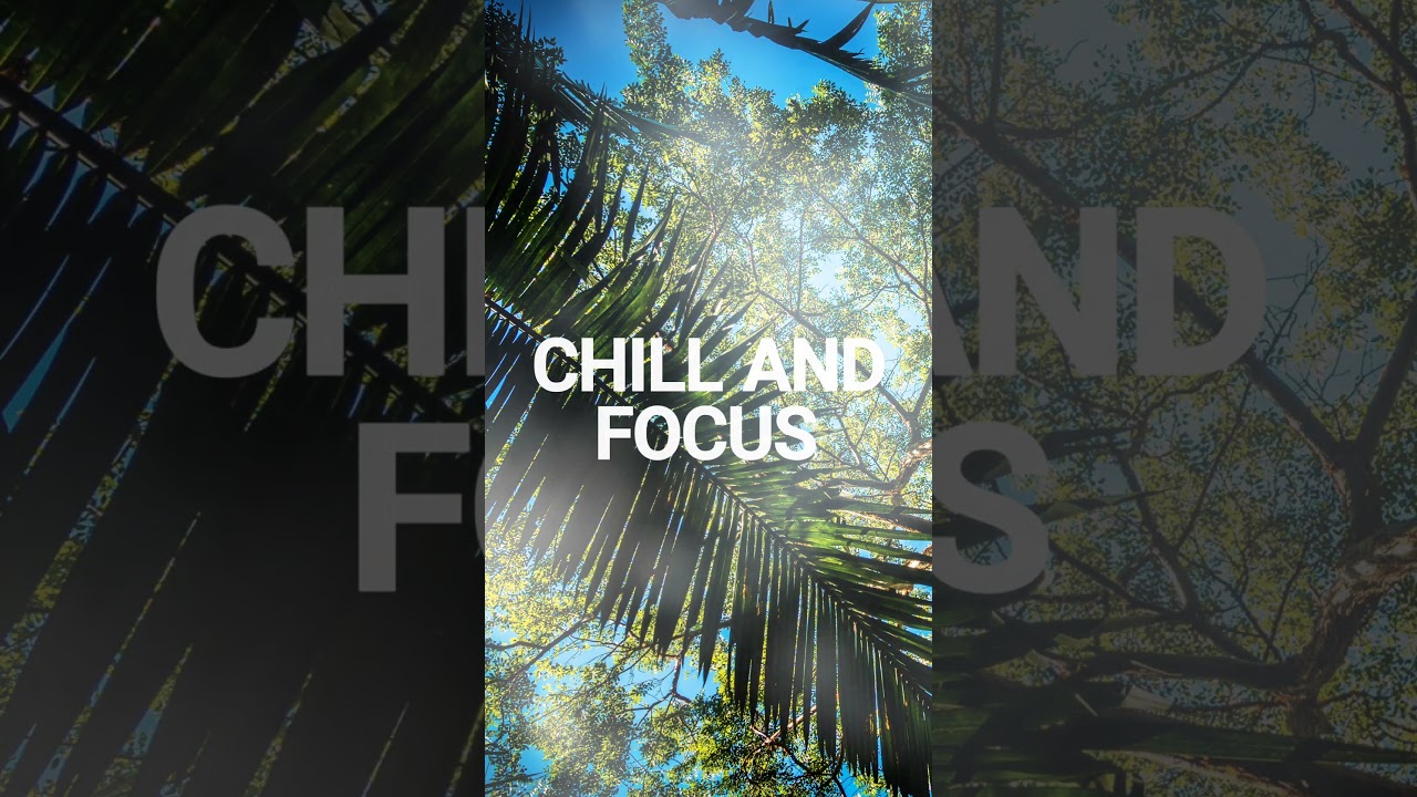 Chill and Focus 🎶 