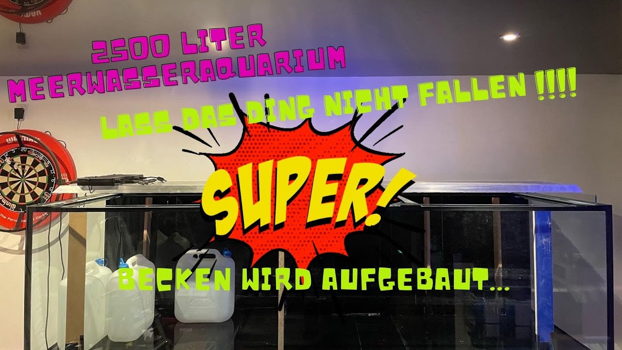 Mega Aquarium   2500 Liter Meerwasser im Wohnzimmer  Aufbau Aquarium