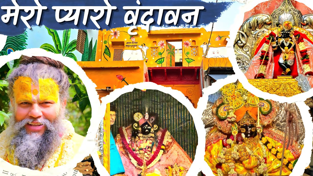 Mero Pyaro Vrindavan |Shri Banke Bihari| Shri Radha Vallabh| Shri Radha Raman|Shri Premanand Maharaj