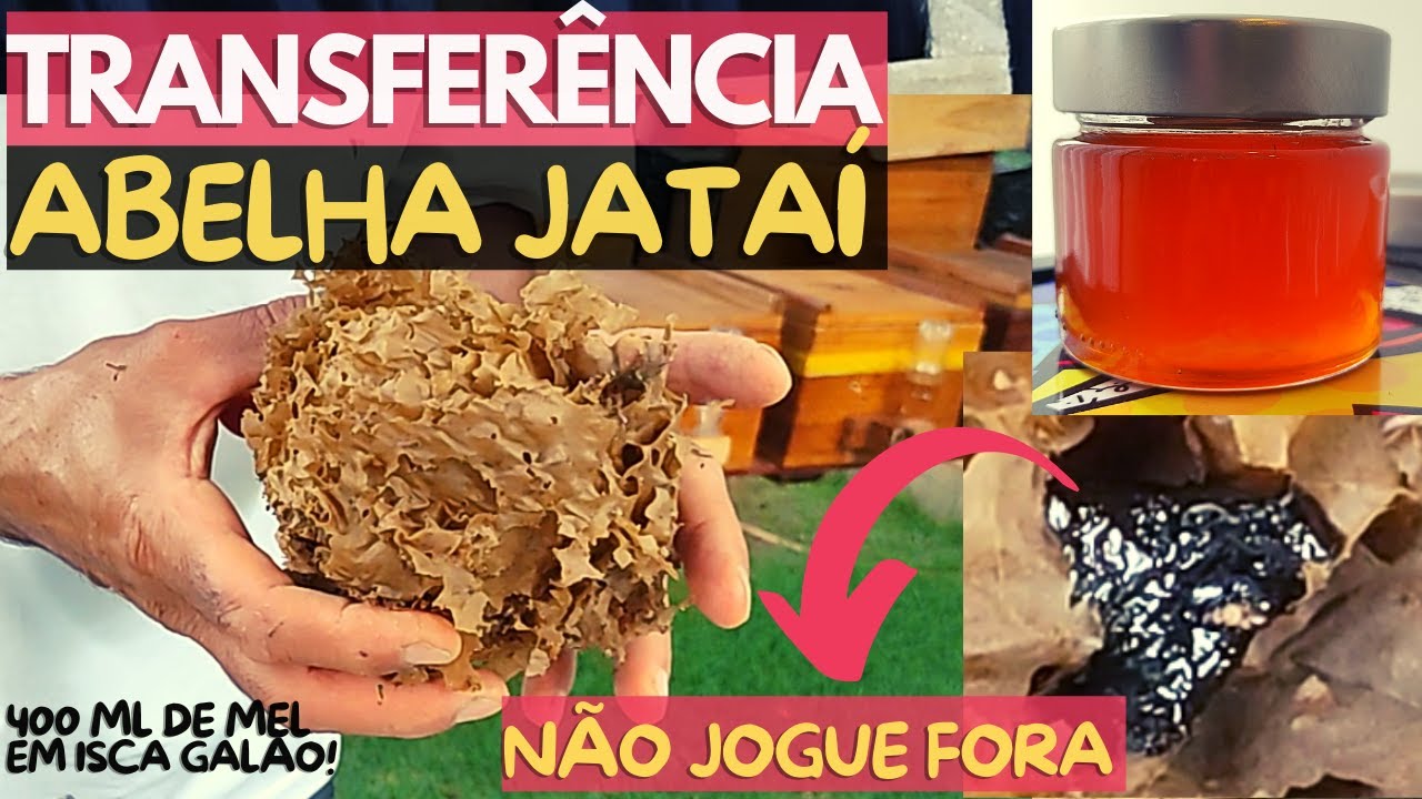 Aprenda TRANSFERIR JATAÍ (passo a passo)