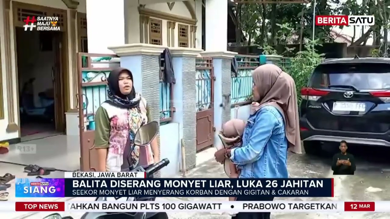 Ngeri! Balita 2 Tahun Digigit Monyet Liar di Bekasi, Punggung Terluka 26 Jahitan #beritasatu