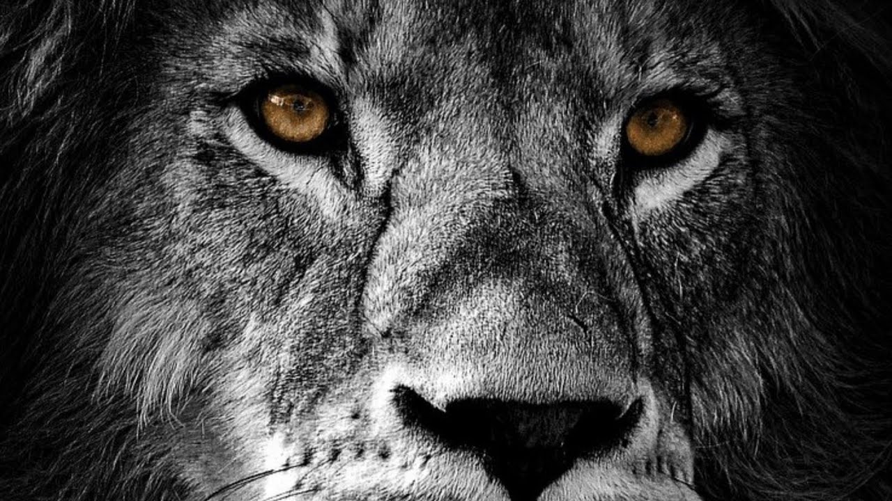 Bas tu haar na maan,#motivational video ,# motivation video