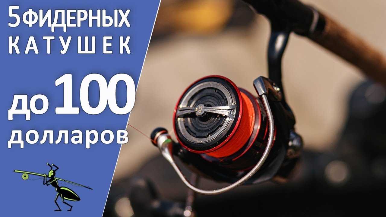 Топ-5 фидерных катушек до 100 долларов США