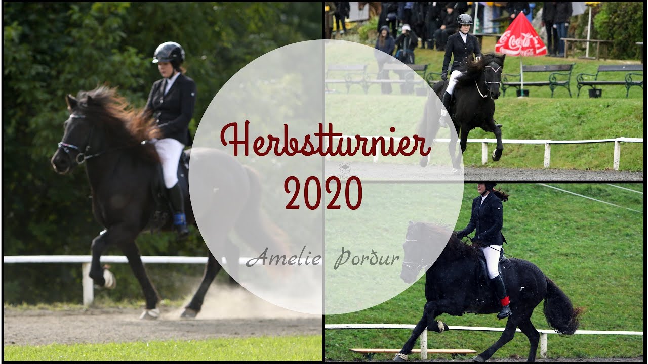 Erfolgreich beim letzten Turnier 2020 🏆 | Herbstturnier Semriach | Þorður vom Josefihof