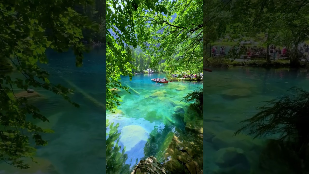 📍Blausee, Switzerland 🇨🇭Follow for daily Swiss Content 🇨🇭