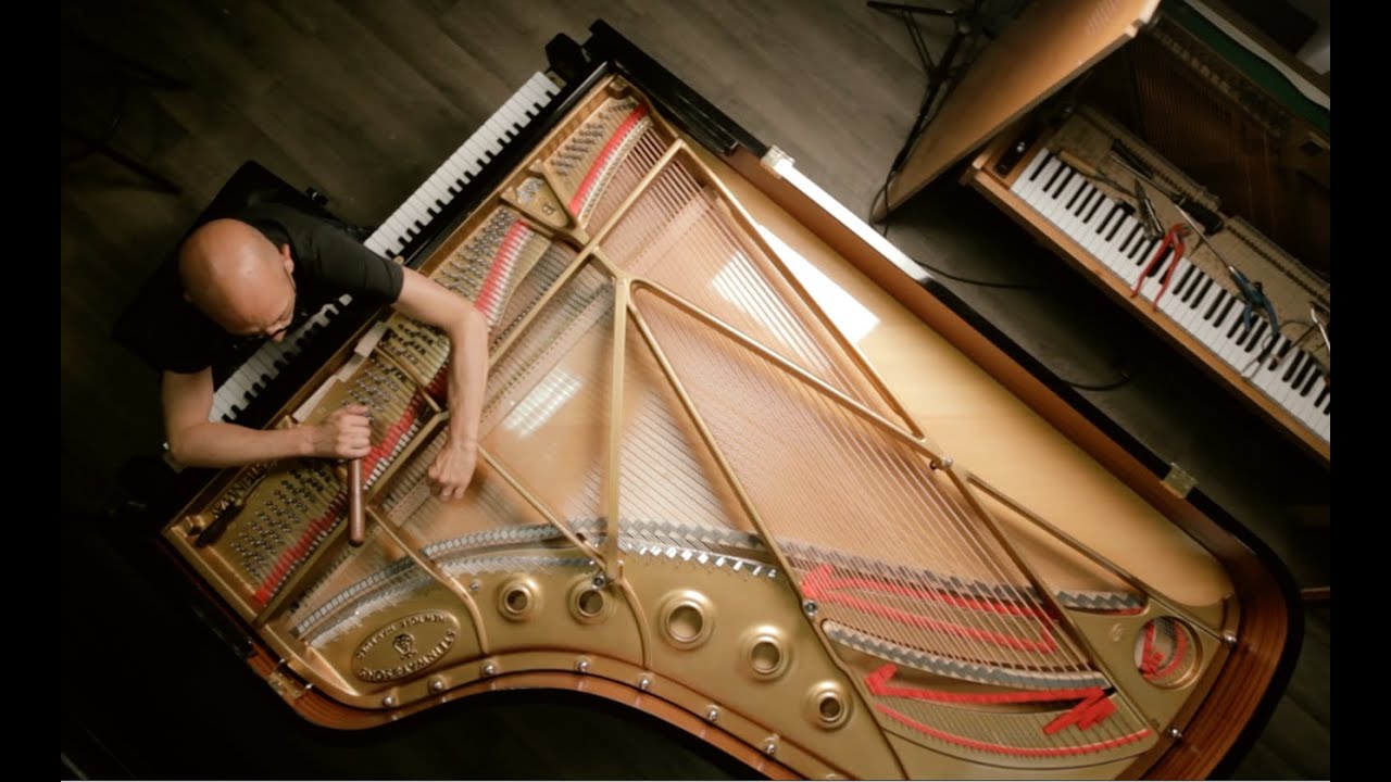 PIANO  DOCTOR