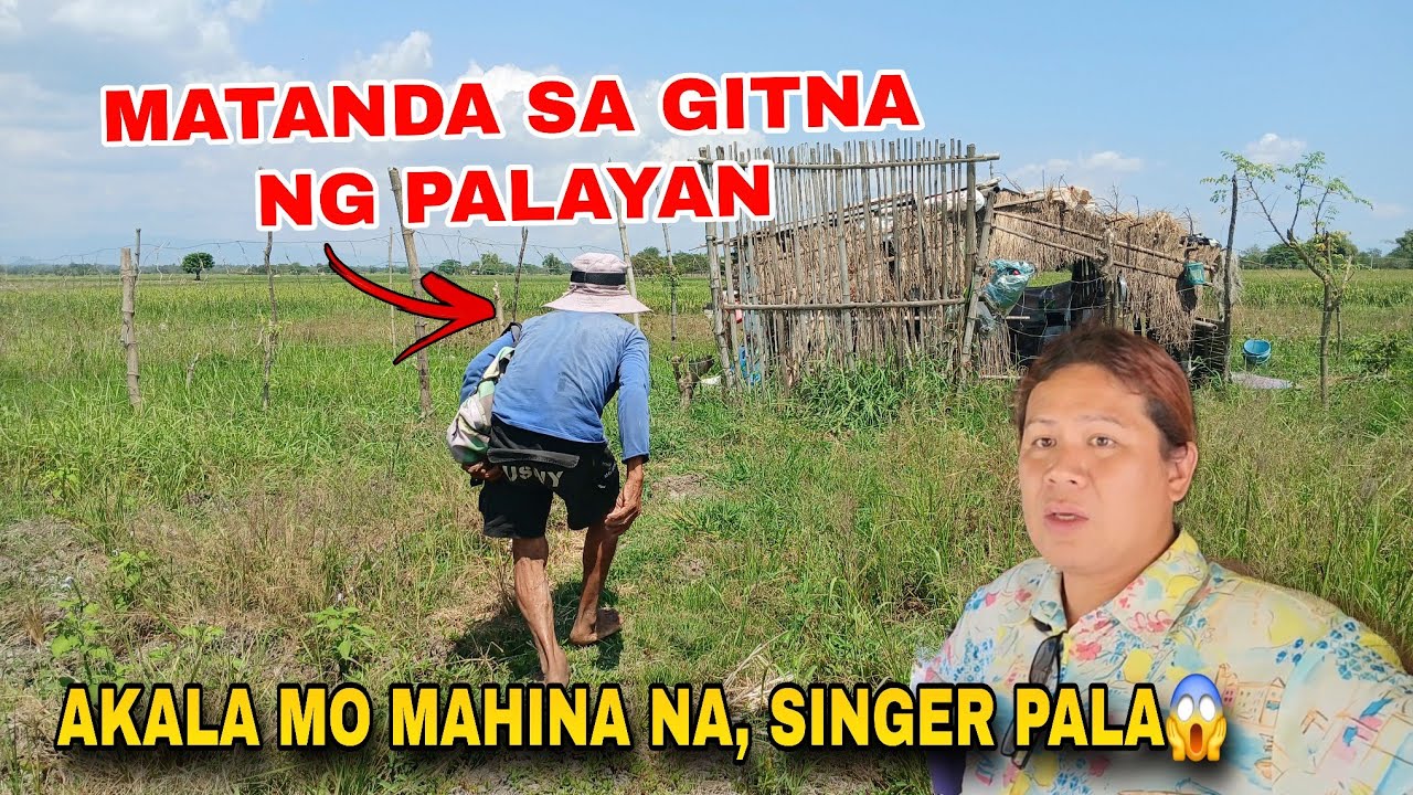 MATANDA SA GITNA NG PALAYAN MAGALING PALANG KUMANTA | Tatay Dominador