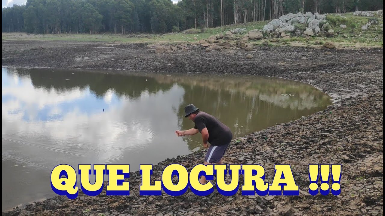 Una locura el pique de tarariras que hay acá!!! en Pesca en agua dulce