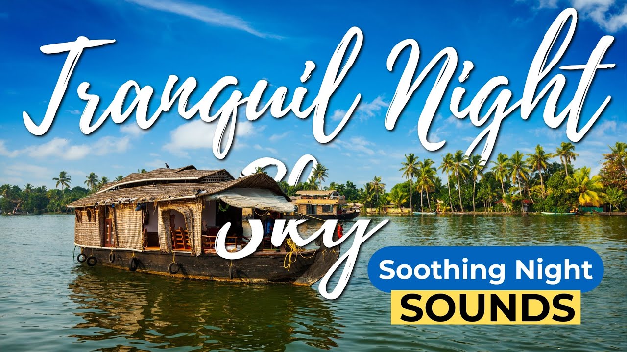 Tranquil Night Sky | Soothing Night Sounds