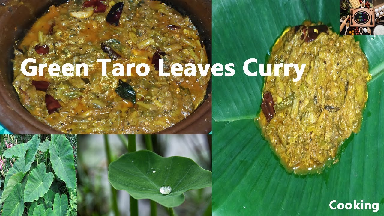 Green Taro Leaves Curry | අලකොල මාළුව - Correct System Of Cooking | Prepare By Food With Best Life