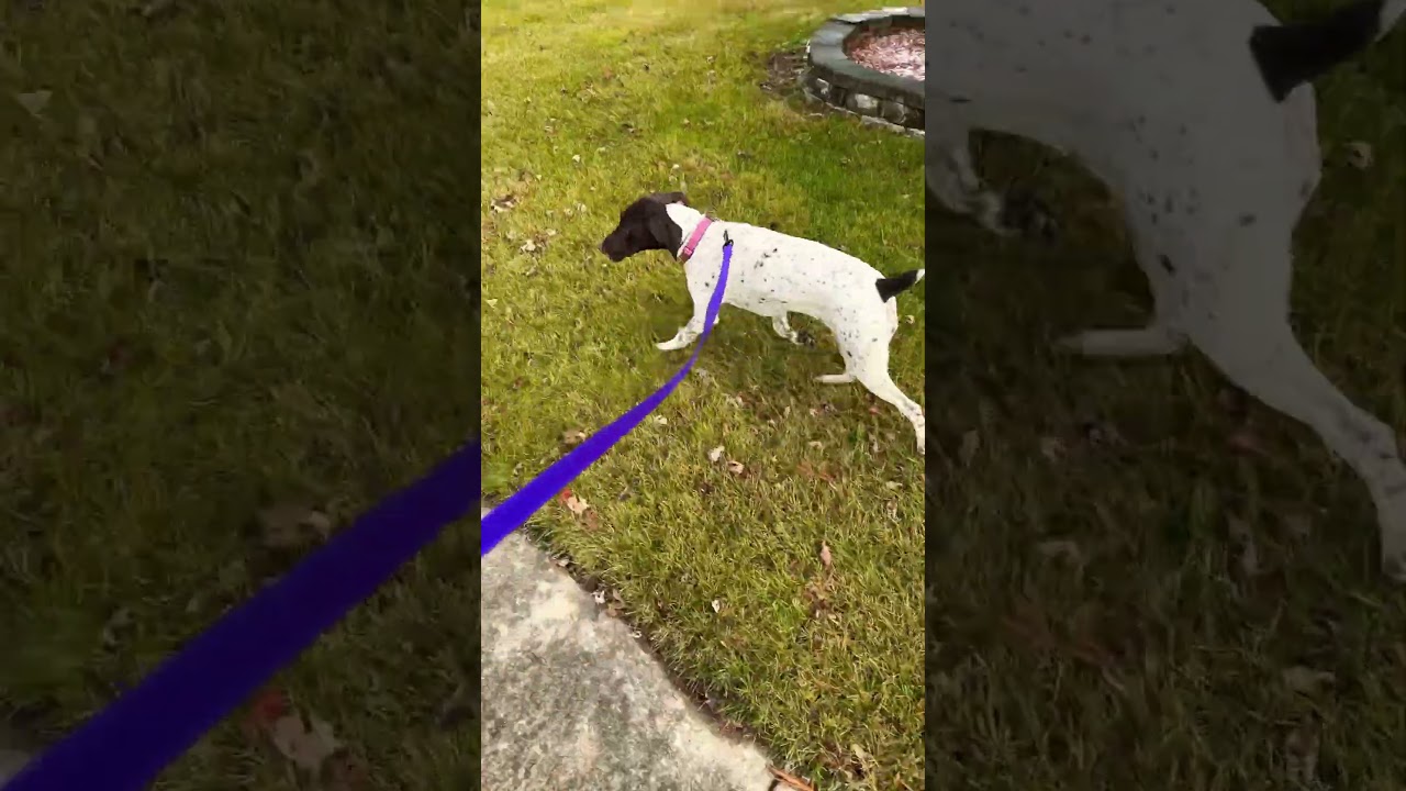 #gsp