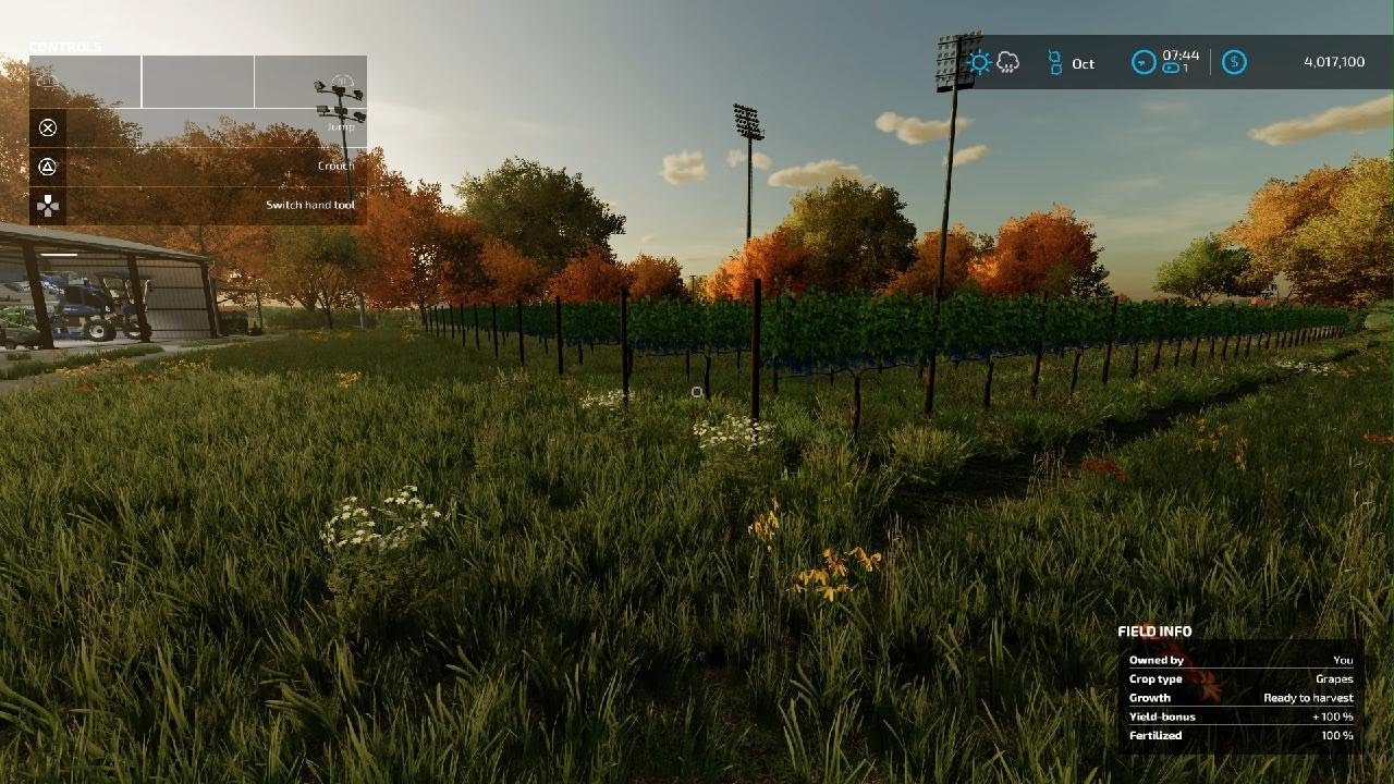 Farming Simulator 22 - Grape Harvest 🍇🍇🍇