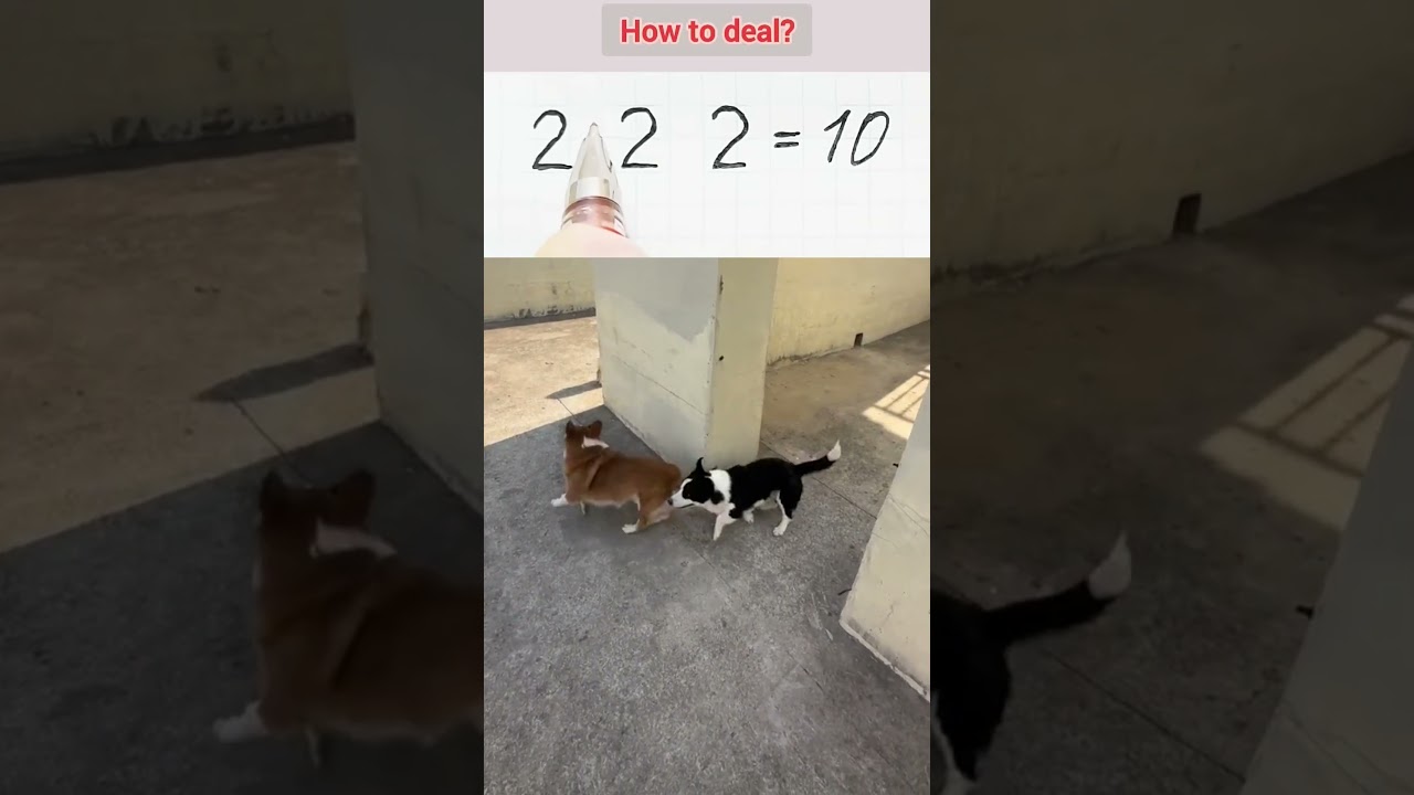 How 2 2 2= 10/#TungCalculation tricks #maths #Math thinking.