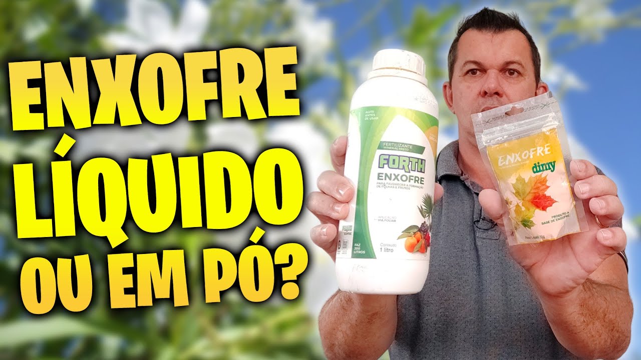 ENXOFRE líquido ou em pó? Qual o melhor para ROSA DO DESERTO?