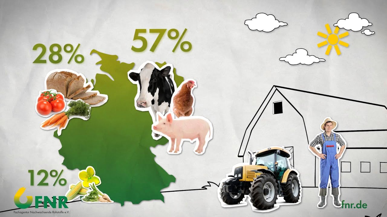 Nachhaltige Bioenergie