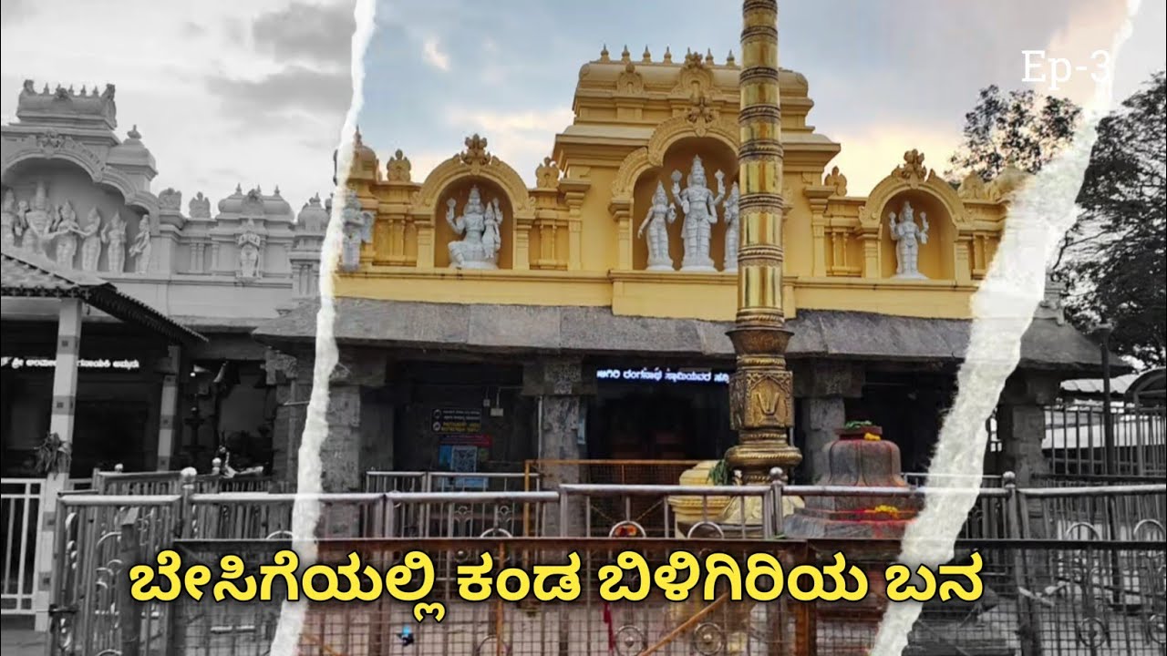 B R HILLS | ಬಿಳಿಗಿರಿ ರಂಗನ ಬೆಟ್ಟದ ಮೇಲಿಂದ ಕಂಡುಬಂಧ ಬೆಟ್ಟಗುಡ್ಡ & ಅರಣ್ಯದ ಸೊಬಗು | ಬಿಳಿಗಿರಿಯ ಬನದಲ್ಲಿ |