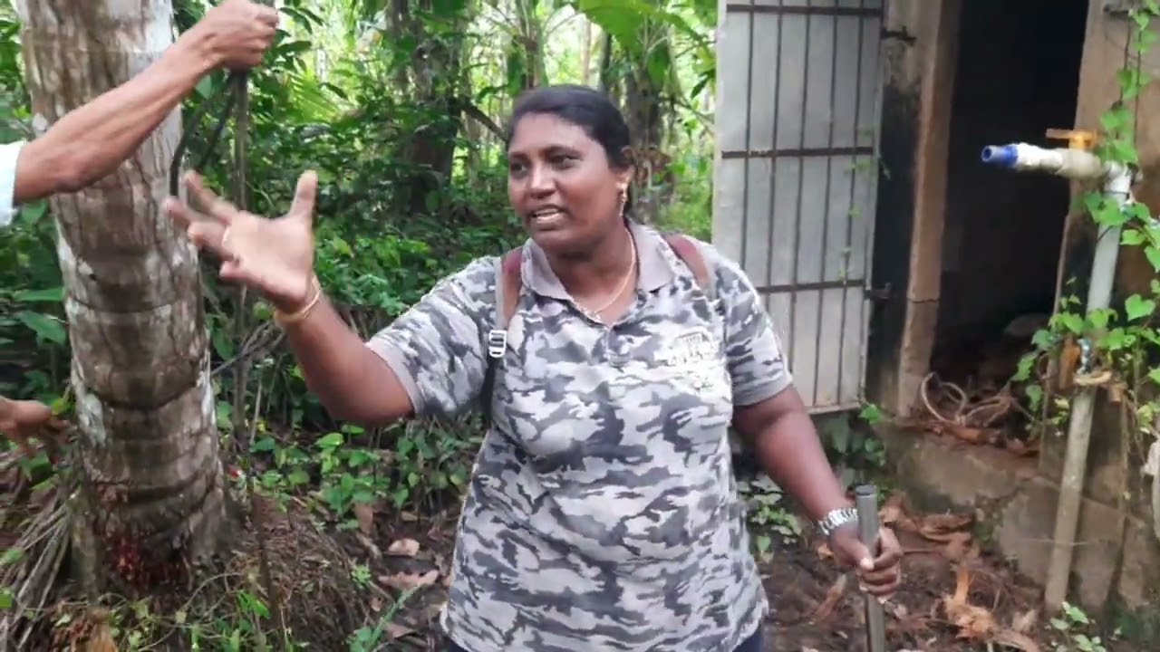 ദേ ചകിരിയും പാമ്പിനെയും ഒരുമിച്ചു വാരി. 😳