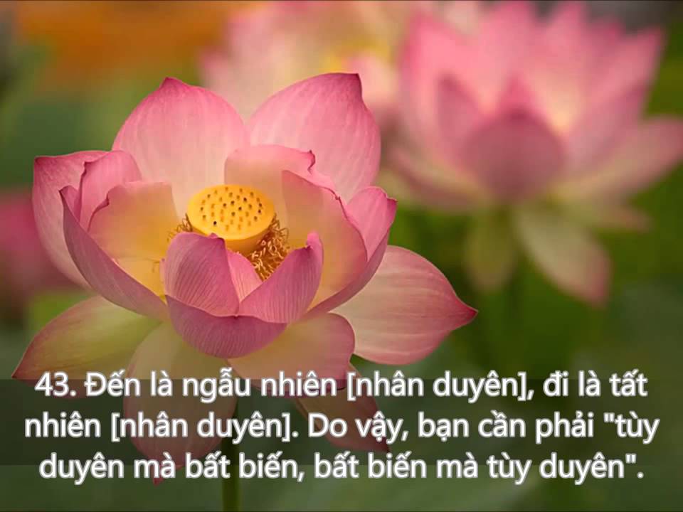 66 Lời Kinh Phật Thật Hay