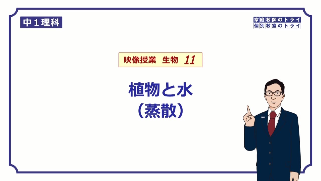 【中１　理科　生物】　植物と水(蒸散の実験)　（１４分)
