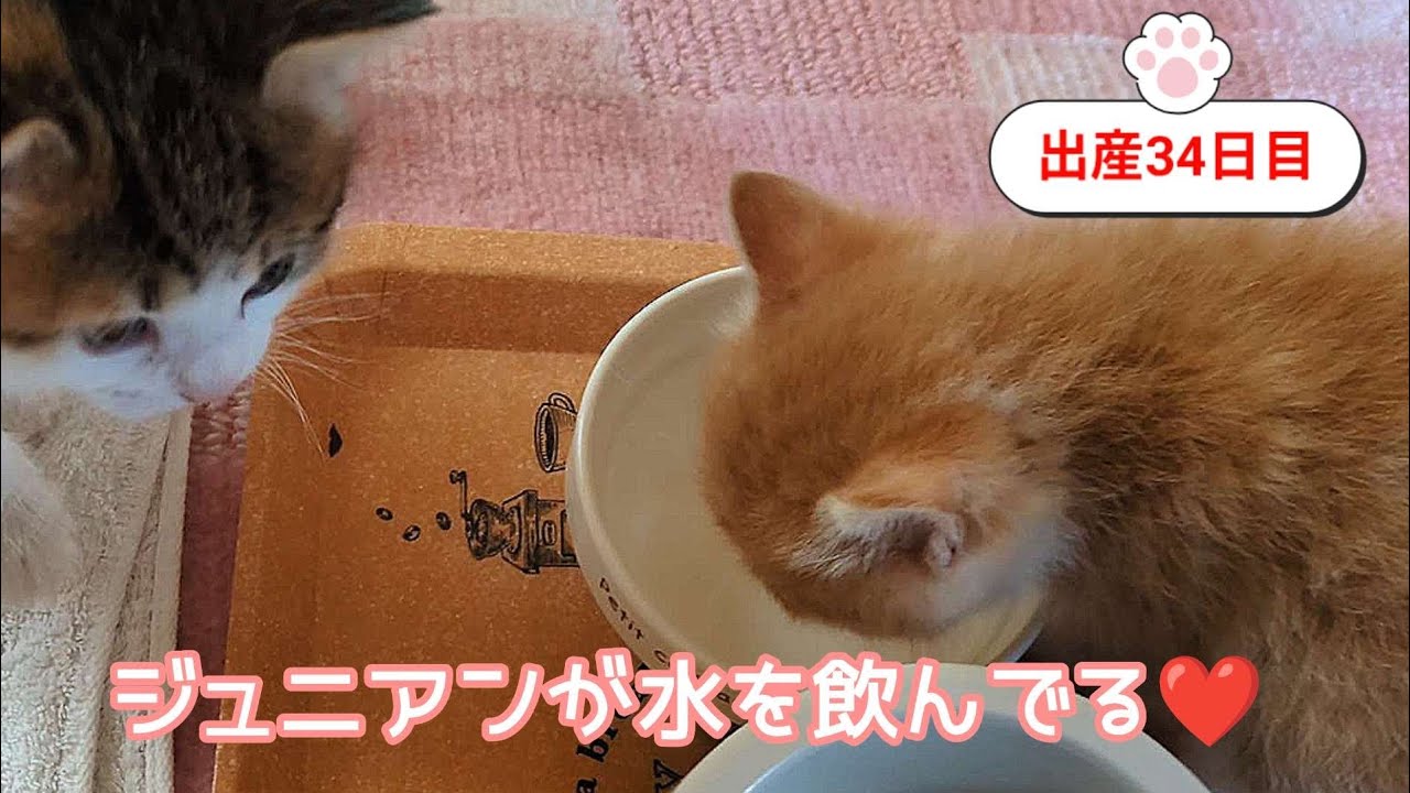 [生後34日目]毎日が新発見ですね❤️