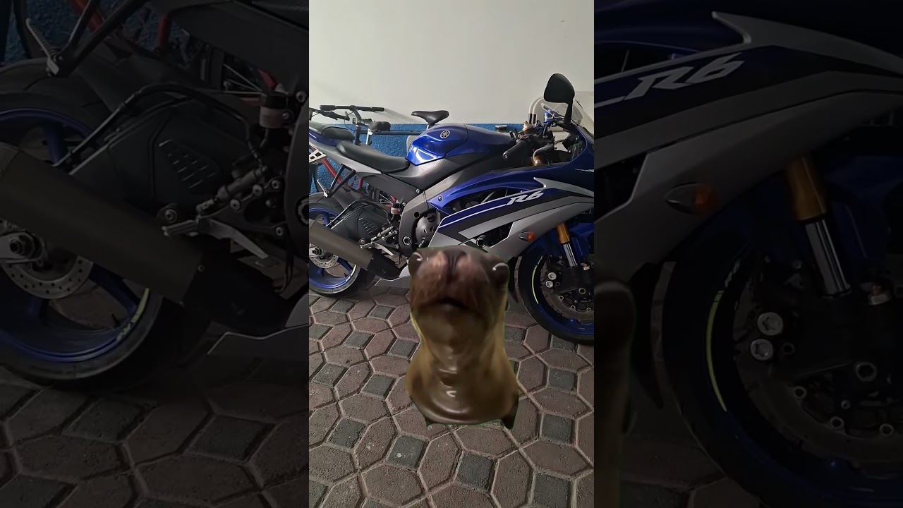 ARRANQUE EN FRIO DE UNA YAMAHA R6