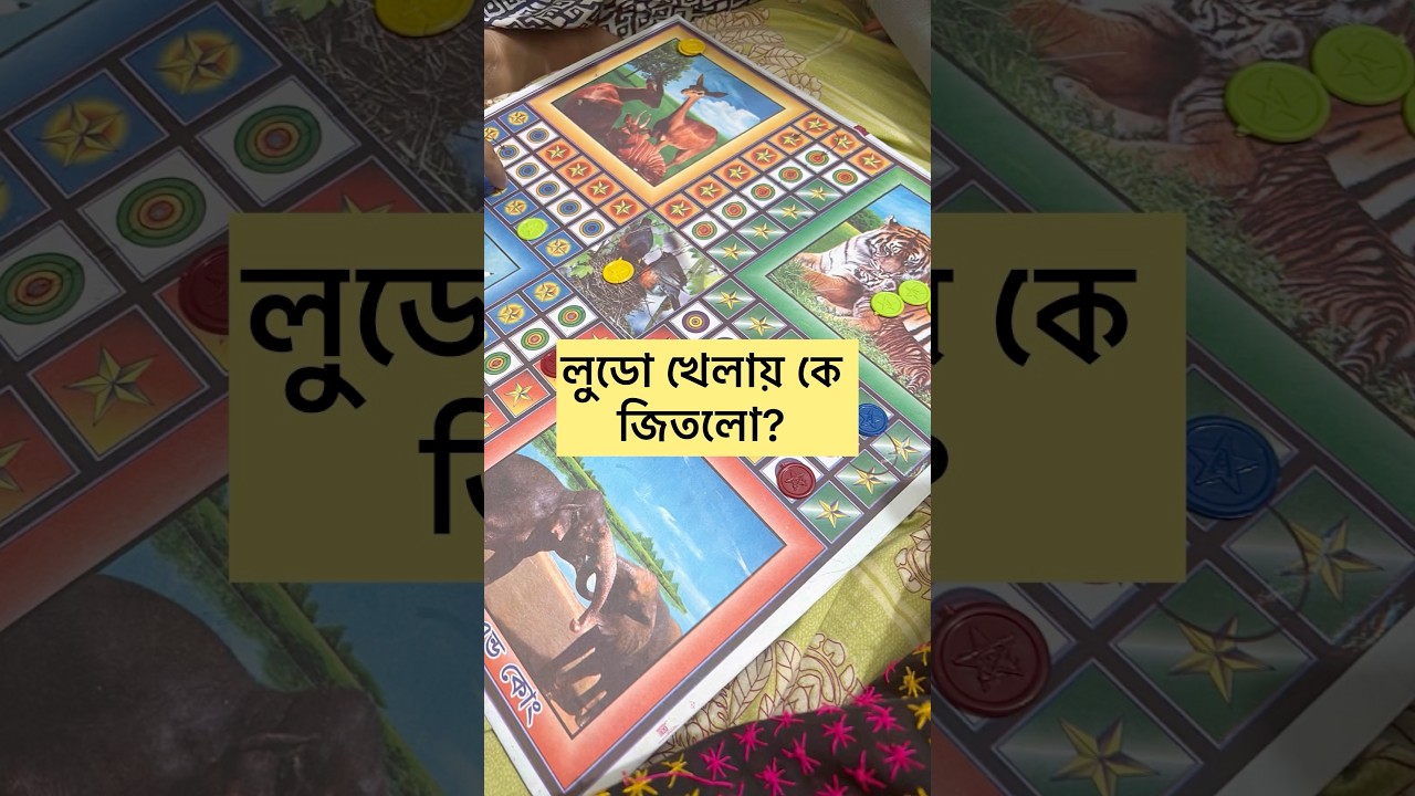 অবসরে আনাদের লুডো। 