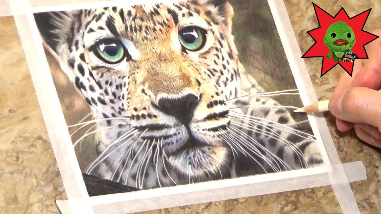 Leopard (Time Lapse Colored Pencil Sketch)