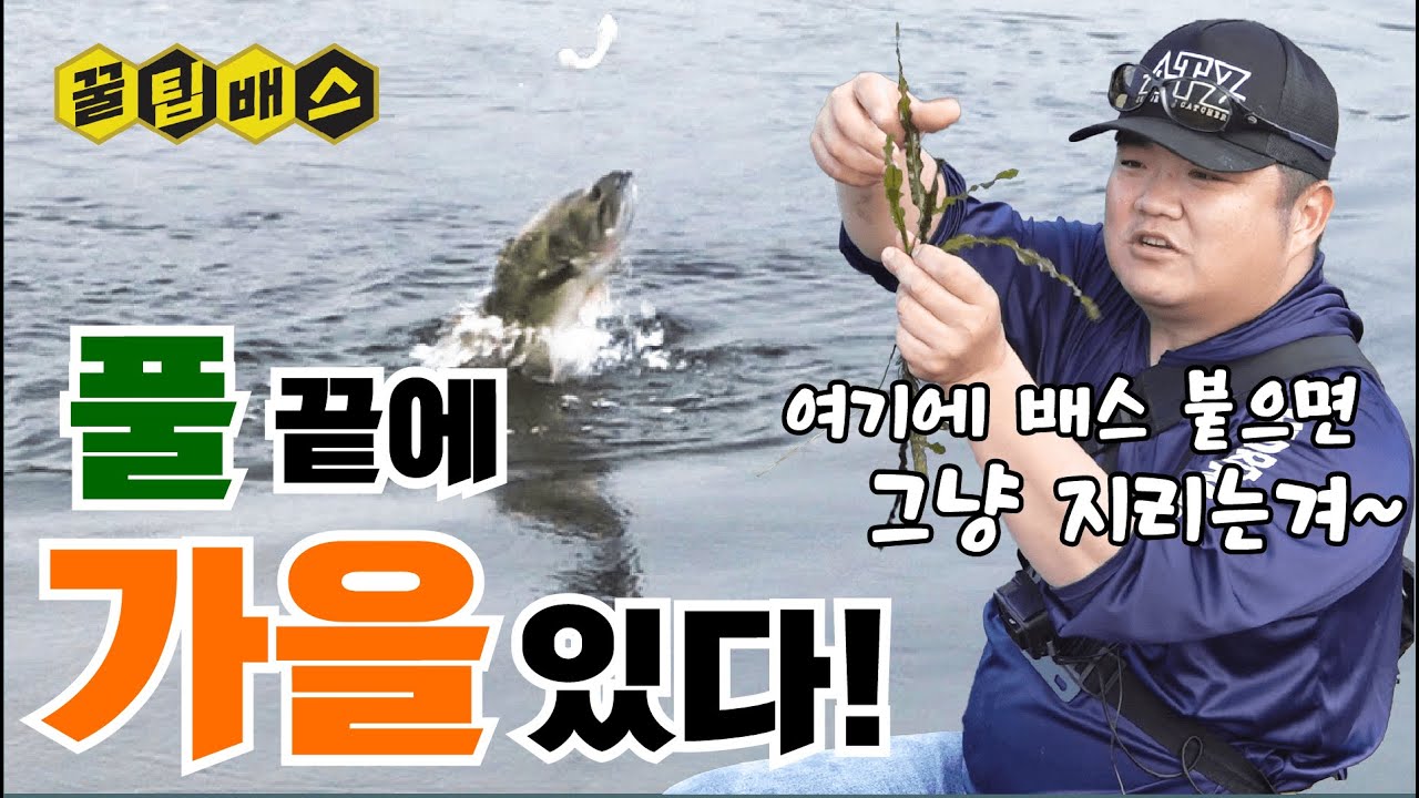 가을 배스낚시는 여기서 시작 합니다.
