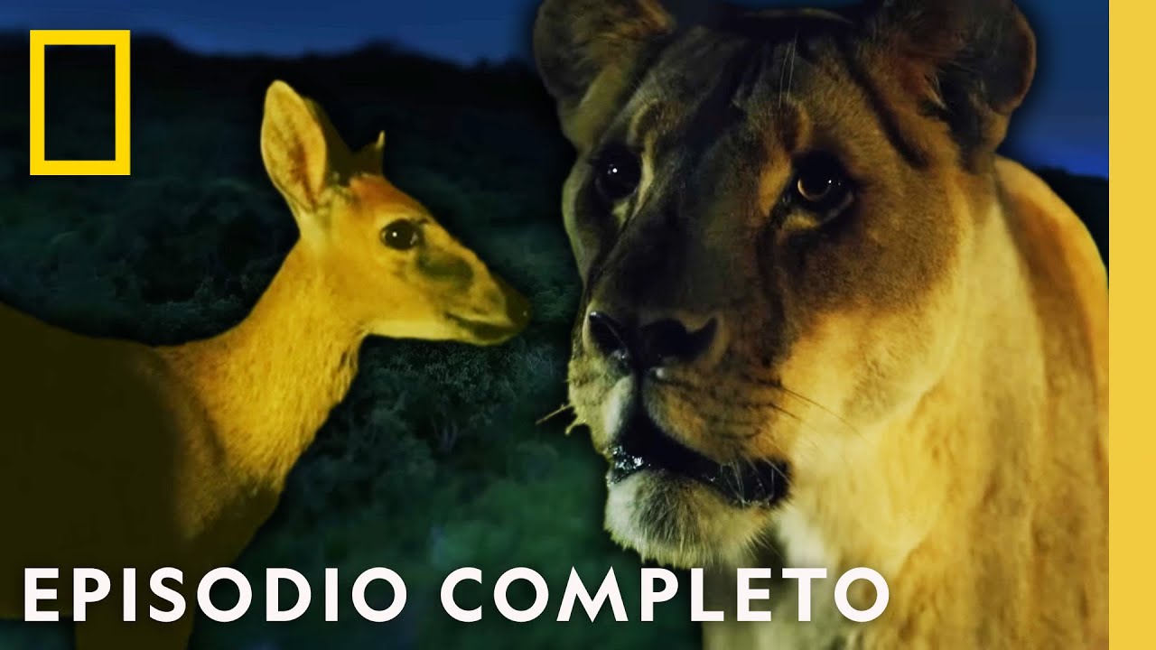 Noches de Miedo | Muerto al Amanecer | Nat Geo en Espa&ntilde;ol