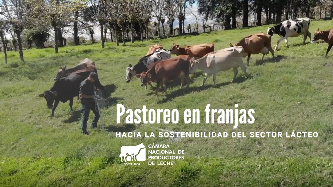 Pastoreo en Franjas