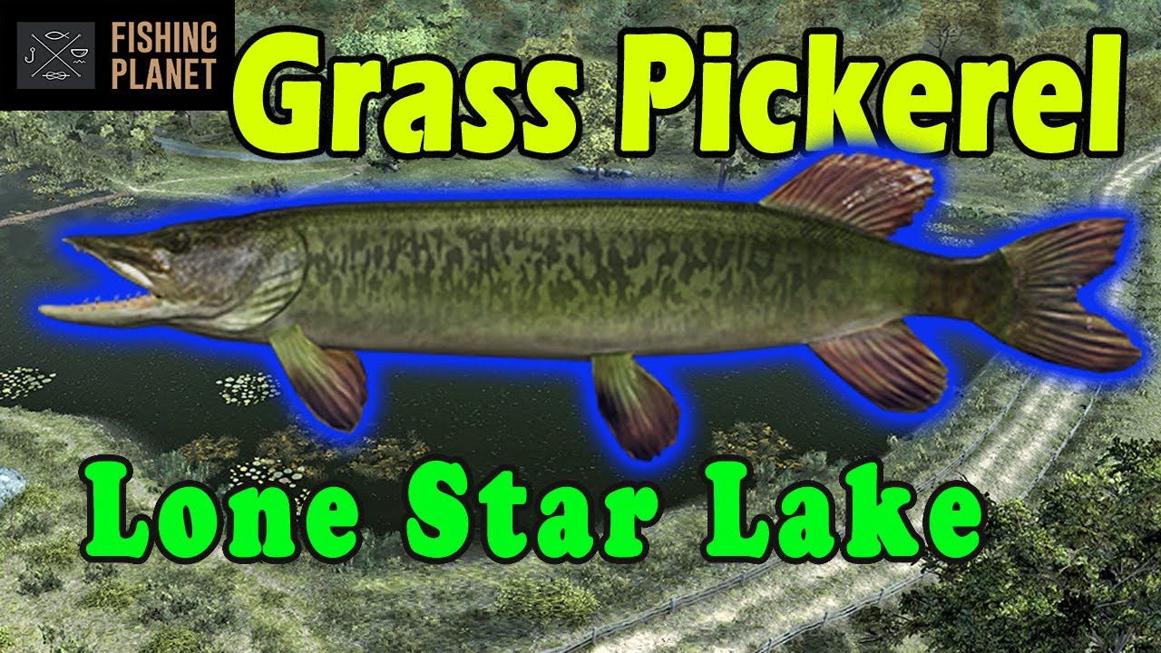 Grass Pickerel - Lone Star Lake - How to Catch - Fishing Planet - Beginner's Guide