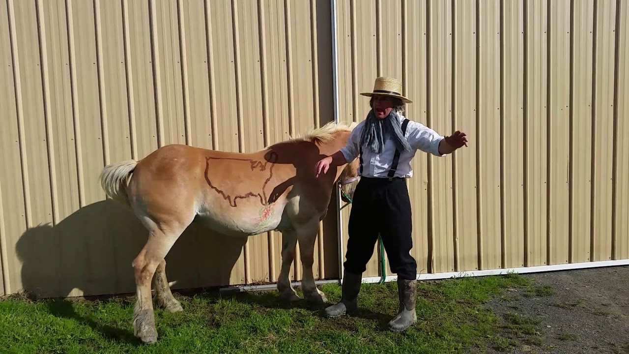 Jacob the Amish weatherman, hurricane Irma forecast
