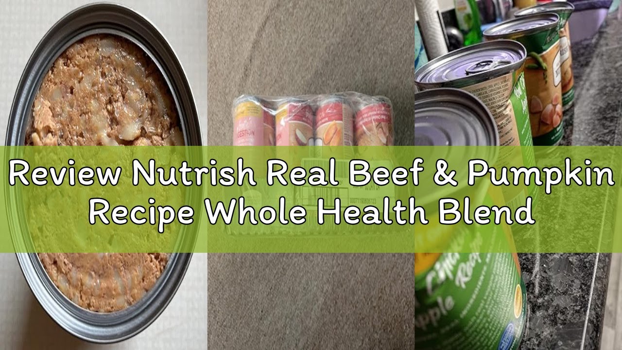 Review Nutrish Real Beef & Pumpkin Recipe Whole Health Blend Premium Paté Wet Dog Food, 13 oz. Can,