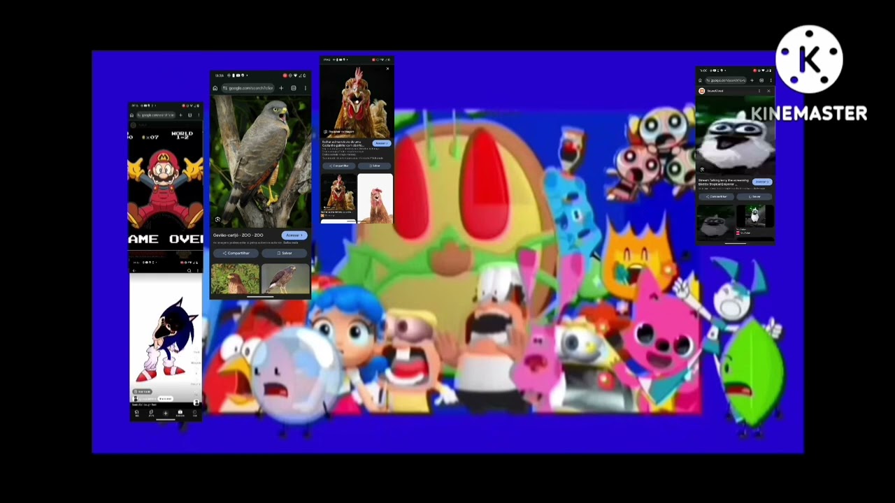 19 de fevereiro de 2026