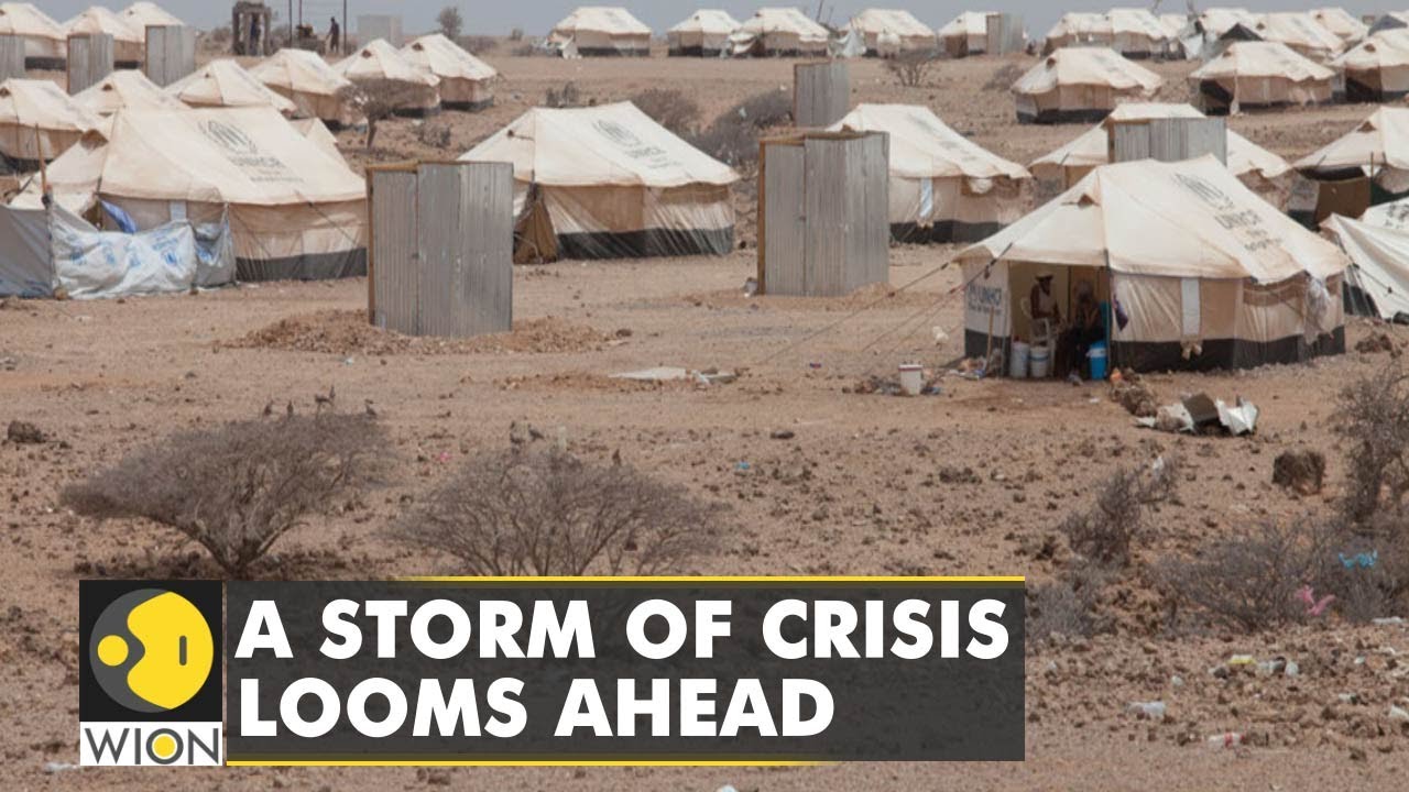 Displaced families living in Yemen camps face intense desert winter | World English News | WION