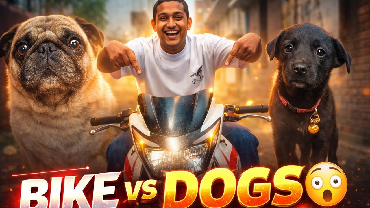 Nani ke ghar mein kafi jyada maja aaya aur unka dog bhi bahut badhiya tha