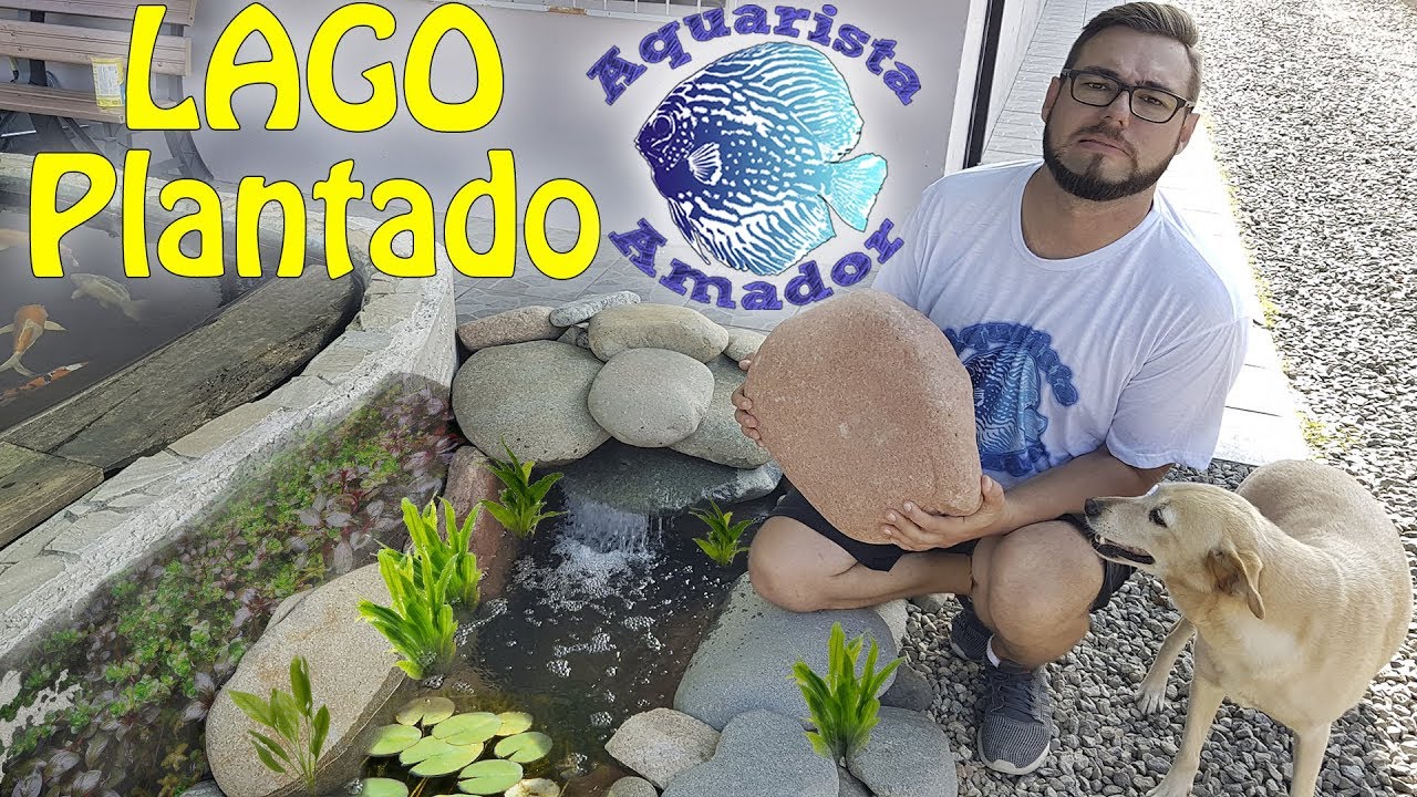 MONTANDO UM LAGO PLANTADO INCRÍVEL