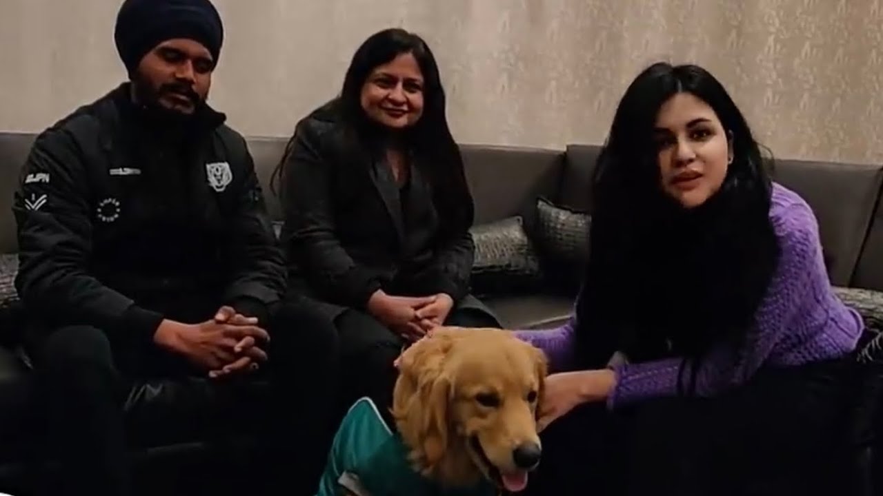 Dog Joint Problem | Why Do Puppy Lose Control of Their Back Legs? Causes and Treatments | BholaShola