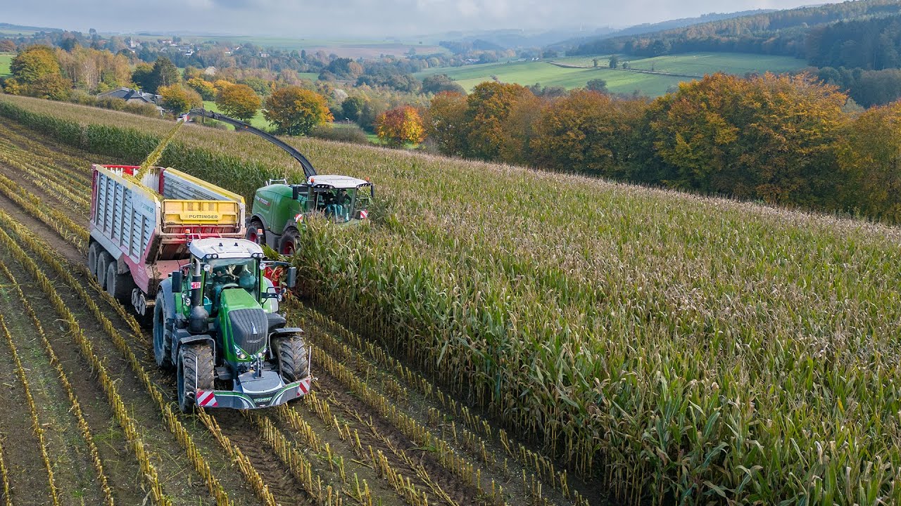 Mais 2024 / Fendt 942 / Entreprise Lapraille / Ardennen / Maize silage