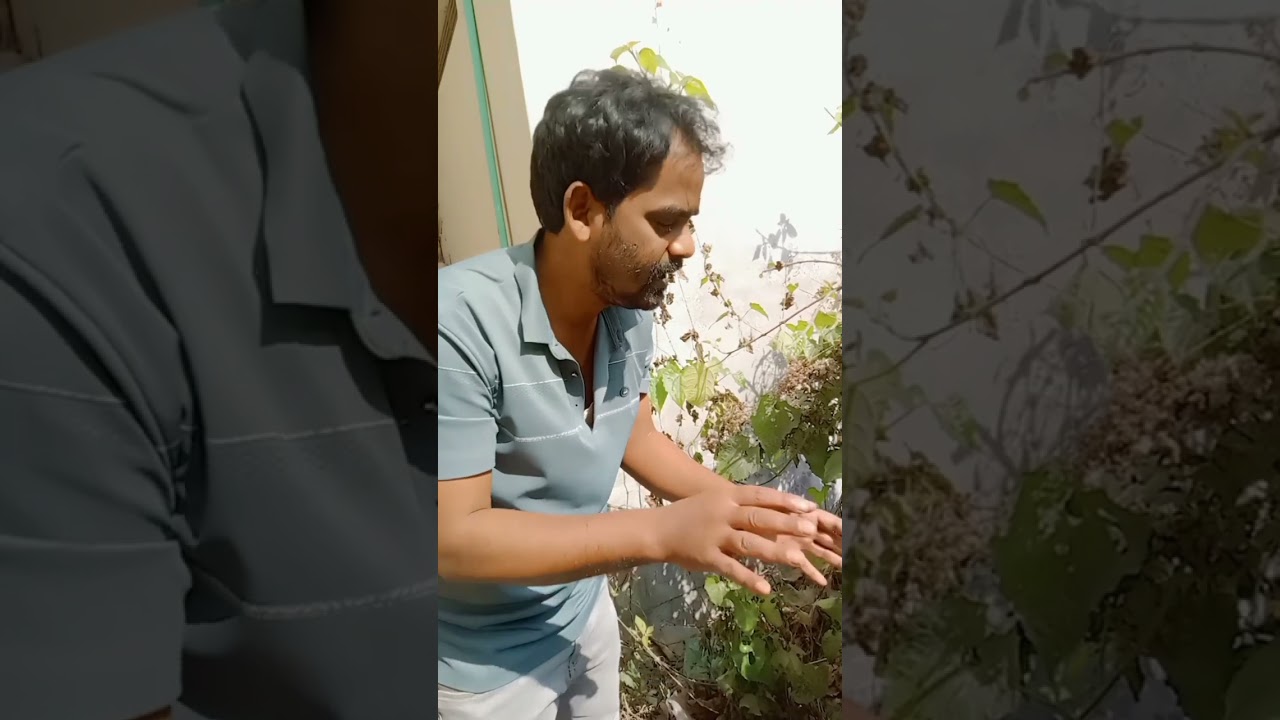 নেশার আড্ডাখানা ভেঙে দিলাম সবাই বিডিওটি দেখবেন