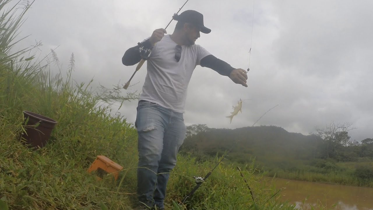 Pescaria de Peixe de couro. Muita produtividade, muito peixe. Fisgadas uma atrás da outra.