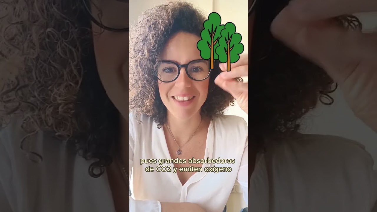 6 BENEFICIOS DE LOS TECHOS VERDES