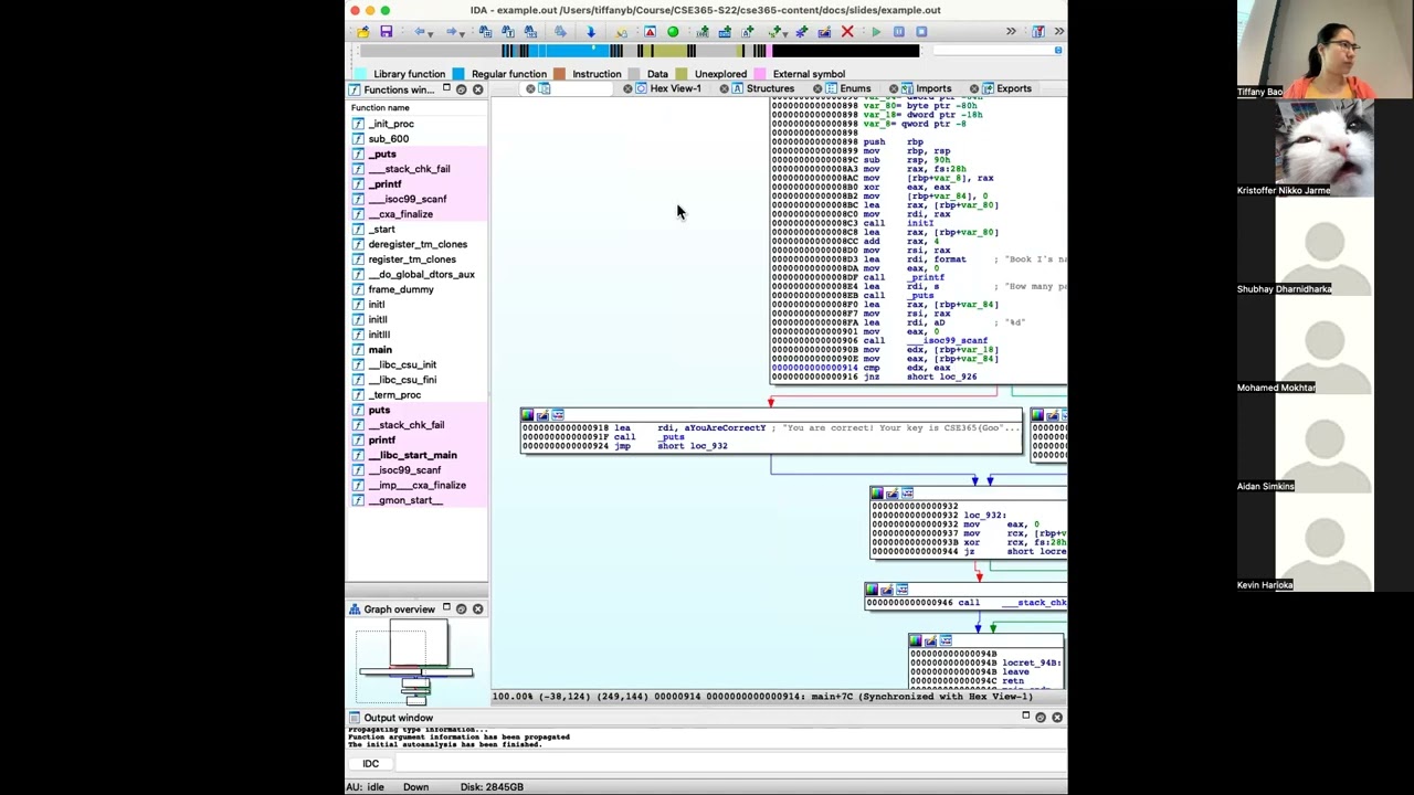 CSE365 S22: Software Security IV