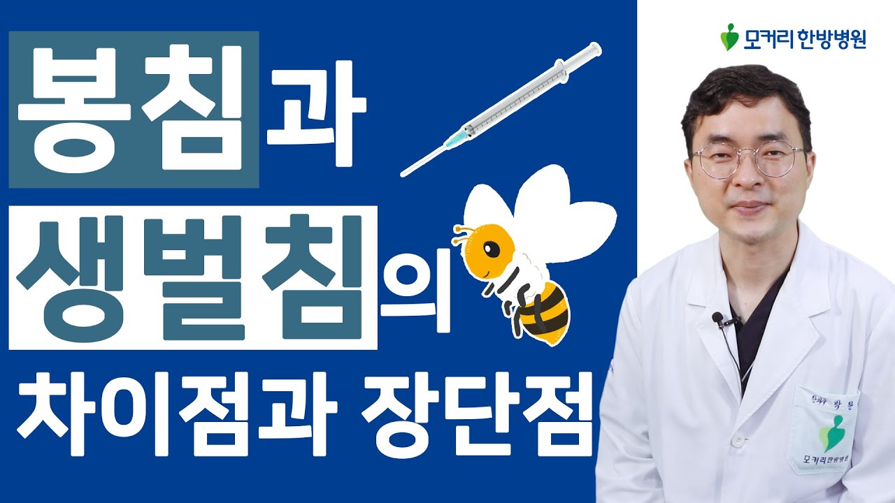 목허리통증, 관절염에 좋은 봉침과 생벌침의 차이점과 장단점은?