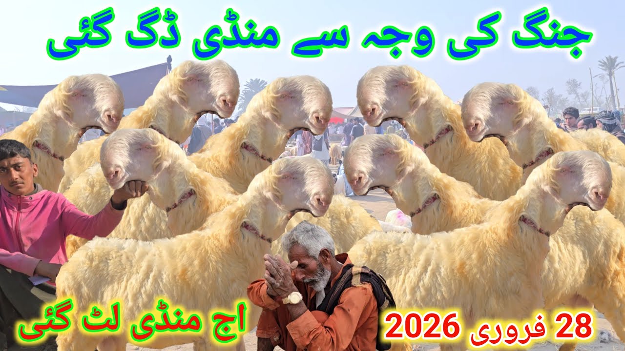 28 February 2026 ملکی صورتحال جنگ کی وجہ سے منڈی ڈگ گئی وپاری نہ ہونے کی وجہ سے لوگ چیخ اٹھے 