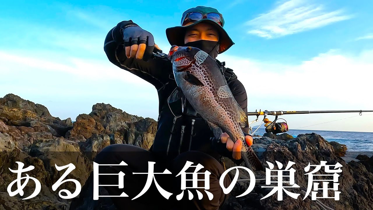【東京都 伊豆大島】大物が連発する地磯ぶっこみ釣りが楽しすぎた