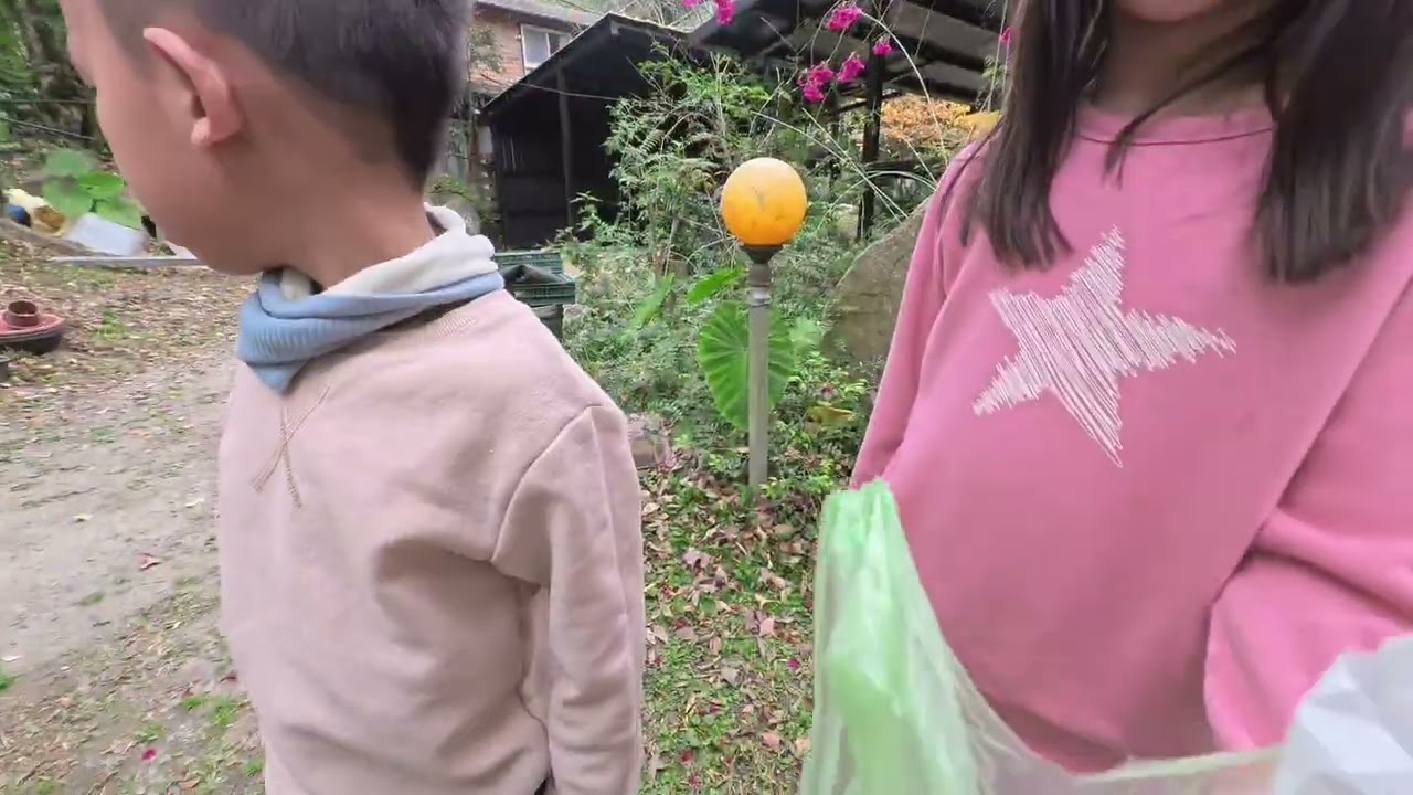 2026/01/25拉拉山第一天 薔薇谷民宿好吃柴火爐烤雞 