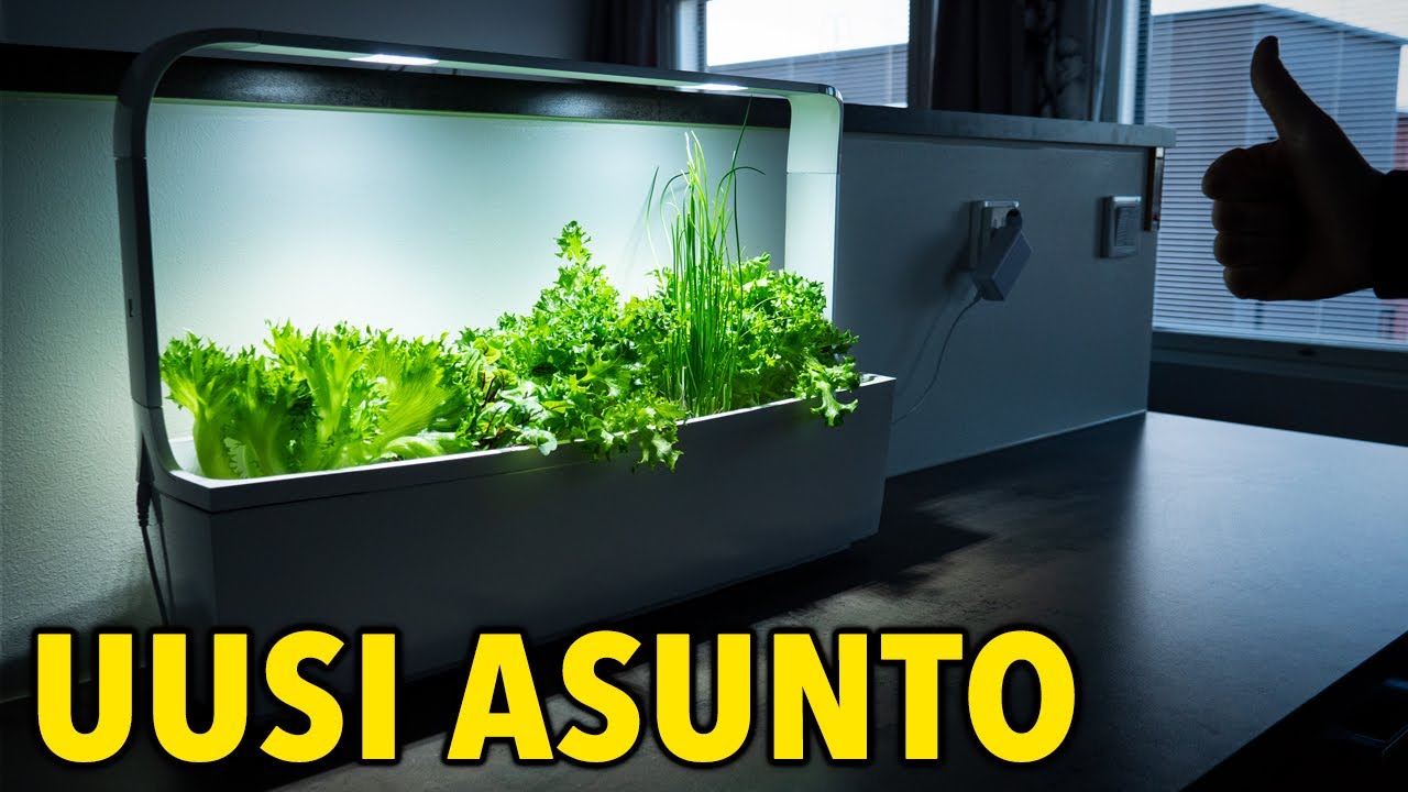 Kasvit tulevat kasvamaan HURJASTI!