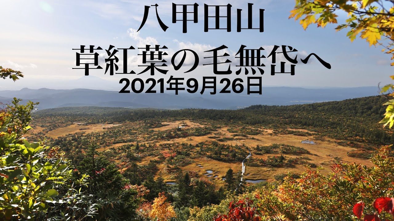 八甲田山　草紅葉の毛無岱へ　2021年9月26日