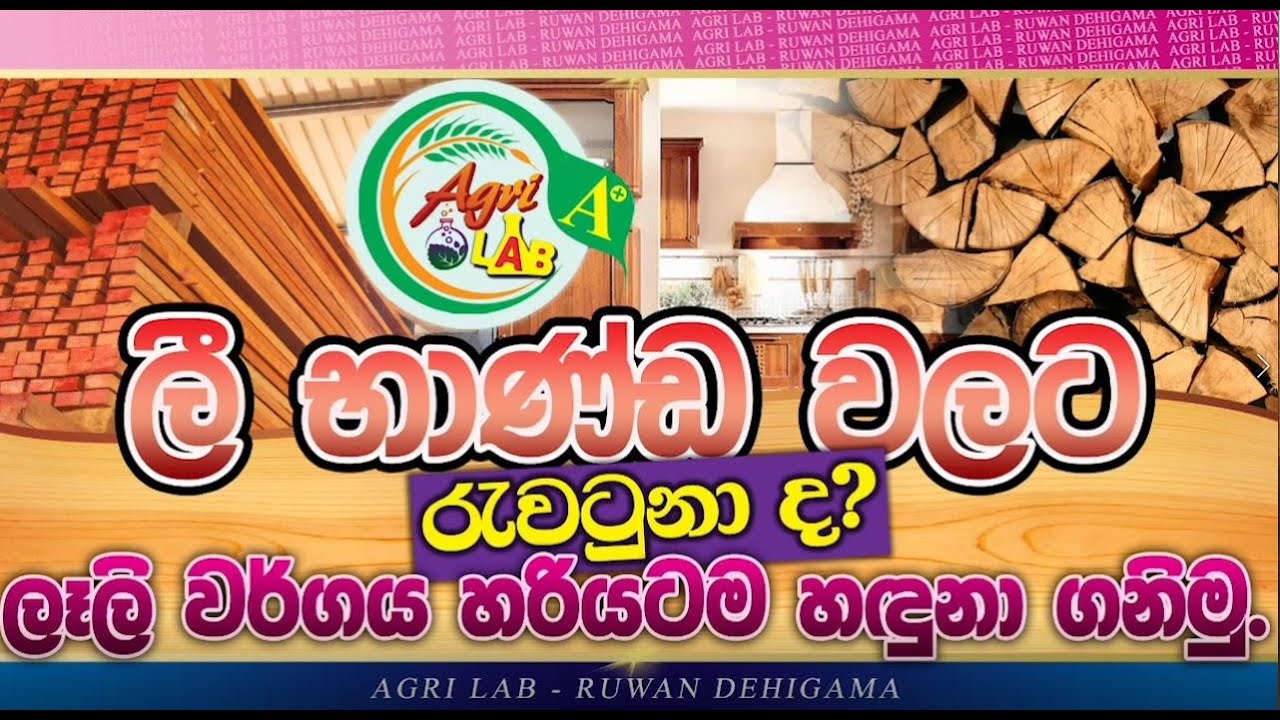 දැව හදුනා ගැනීම/ Identification Of Timber -Agriculture -Agri Lab Sinhala -Ruwan Dehigama
